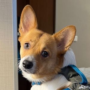 Meet your Posher, Kathleen